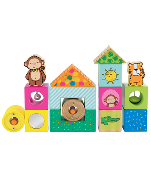 Wooden Activity Blocks