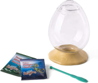 Aqua Dragons - Jurassic EGGspress