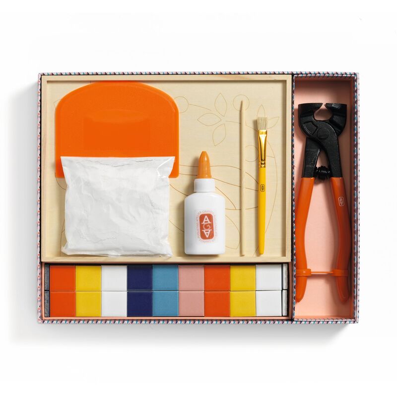 Atelier 72 - Dragonfly Mosaic Art Kit