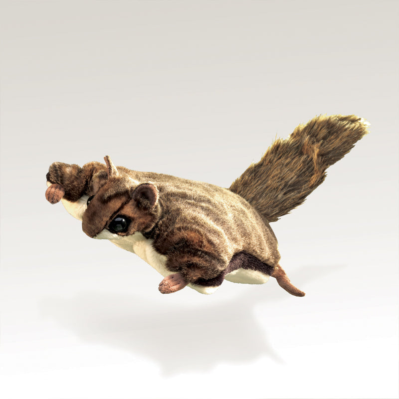 Sugar Glider (Flying Squirrel)