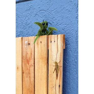 Pack of 6 Praying Mantis Finger Puppets
