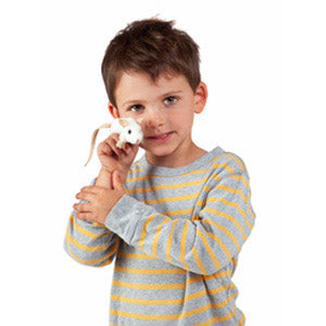Pack of 4 White Mouse Finger Puppets