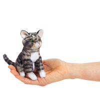 Pack of 3 Tabby Cat Finger Puppets