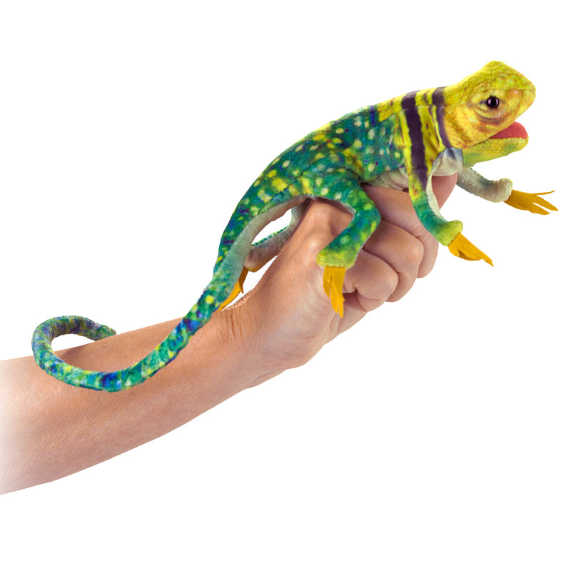 Pack of 3 Collared Lizard Finger Puppet
