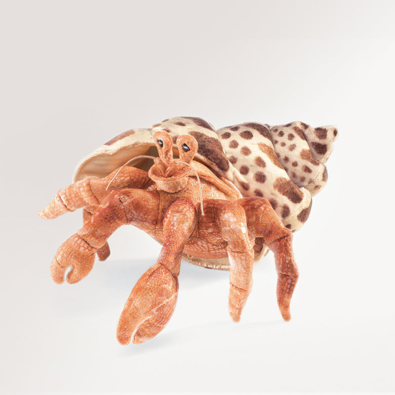 Hermit Crab Puppet