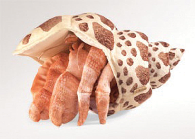 Hermit Crab Puppet