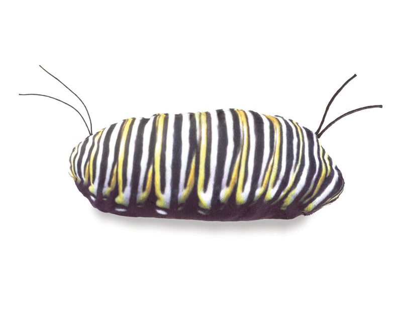 Monarch Life Cycle Puppet