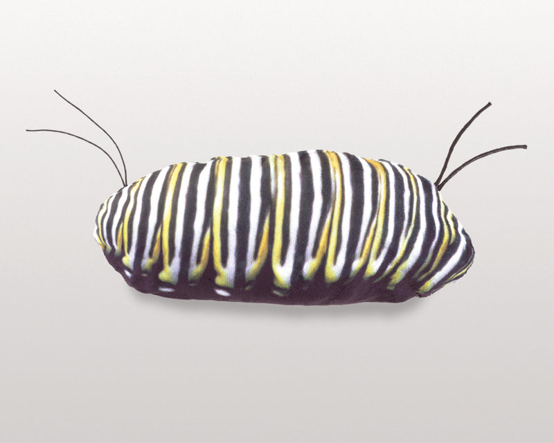 Monarch Life Cycle Puppet