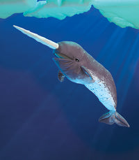Narwhal Puppet