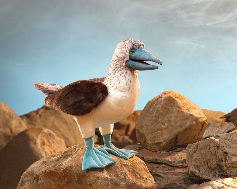 Blue Footed Booby Puppet