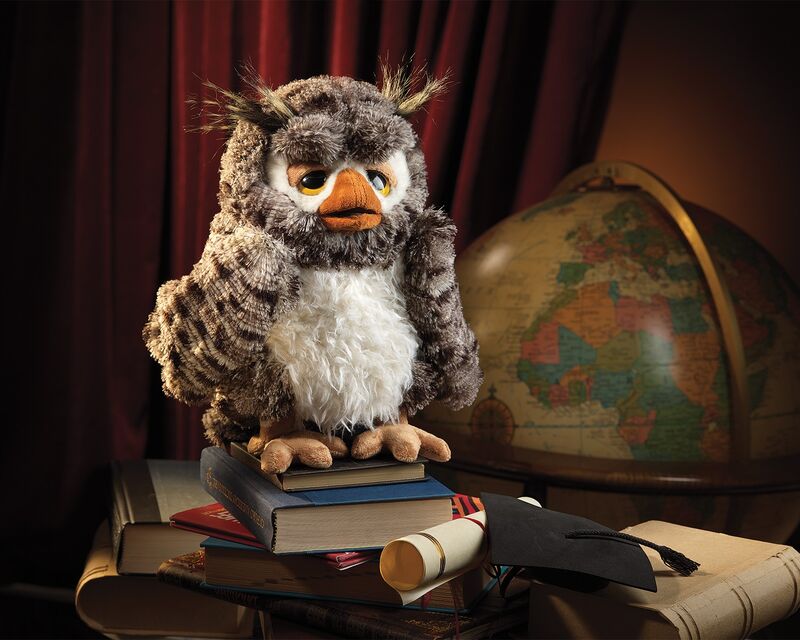 Wise Owl Puppet