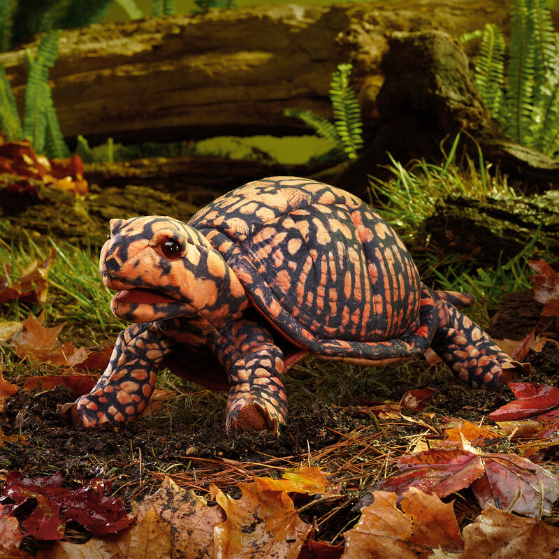 Box Turtle Puppet