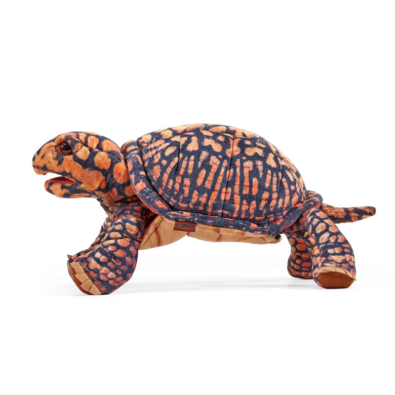 Box Turtle Puppet