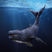 Humpback Whale Puppet