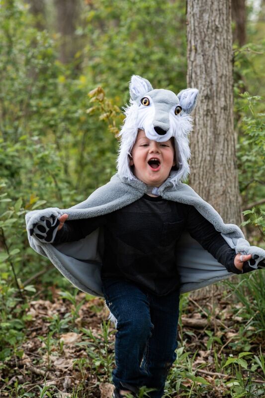 Woodland Storybook Wolf Cape Size 4-6