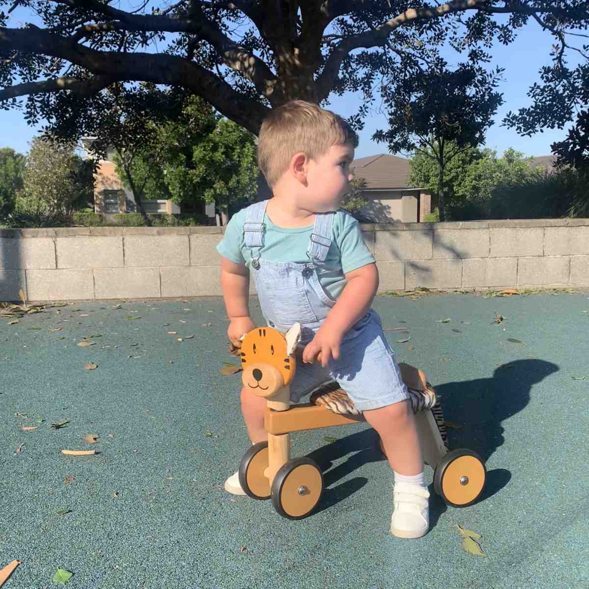 Paddie Rider Tiger