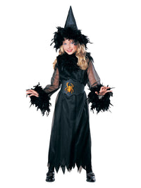 Rubie's Deerfield Pretty Feathered Witch - size s