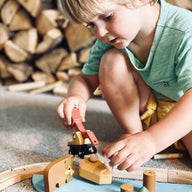 Wild Pines Train Set