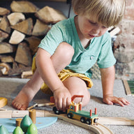 Wild Pines Train Set