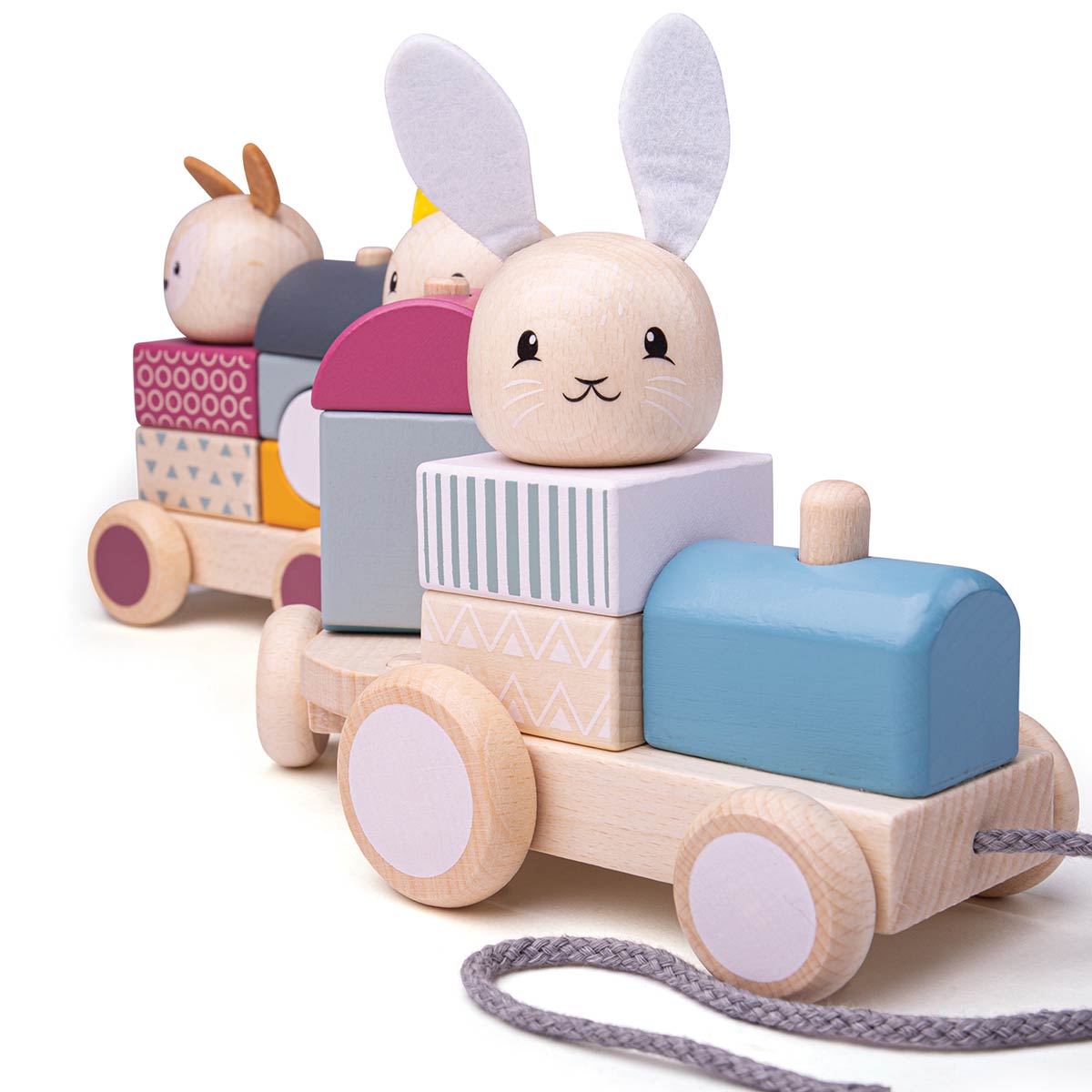 FSC Activity Pull Along Train