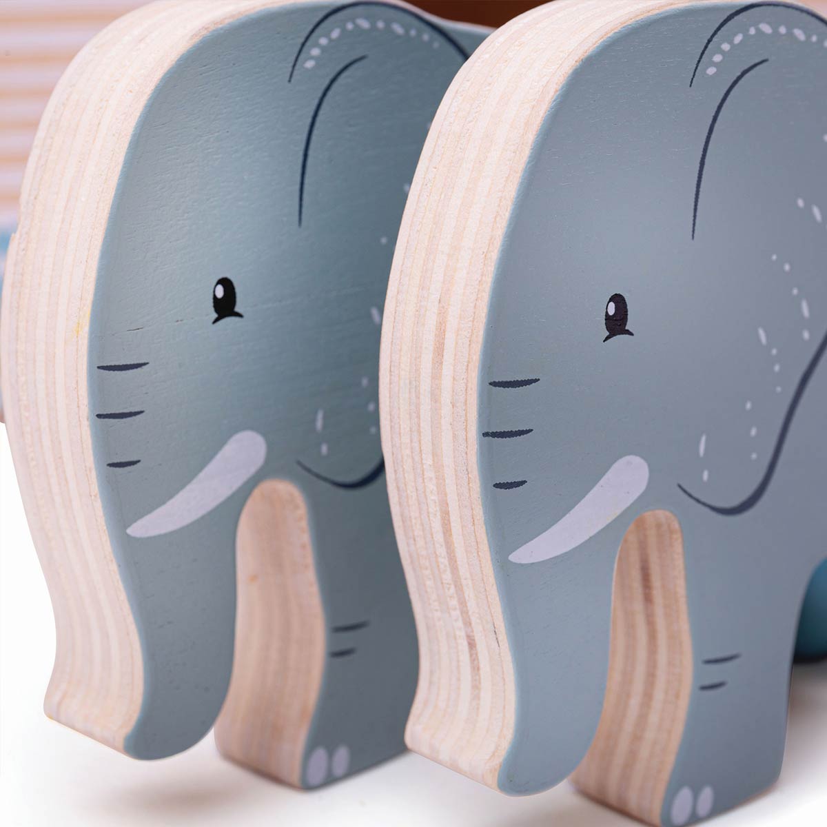 FSC Noah's Ark