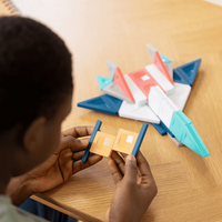 Pro Magnetic Engineering Set