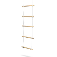 Climbing Ladder
