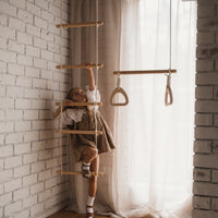Climbing Ladder