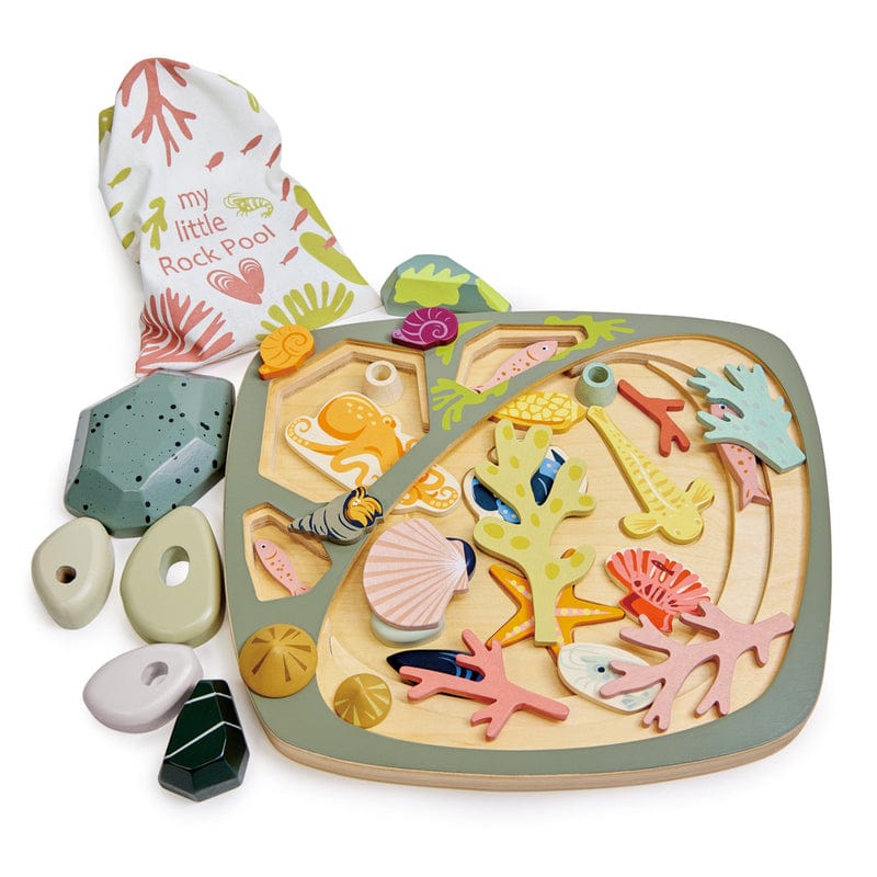 Tender Leaf Toys Animals & Dinosaurs My Little Rock Pool