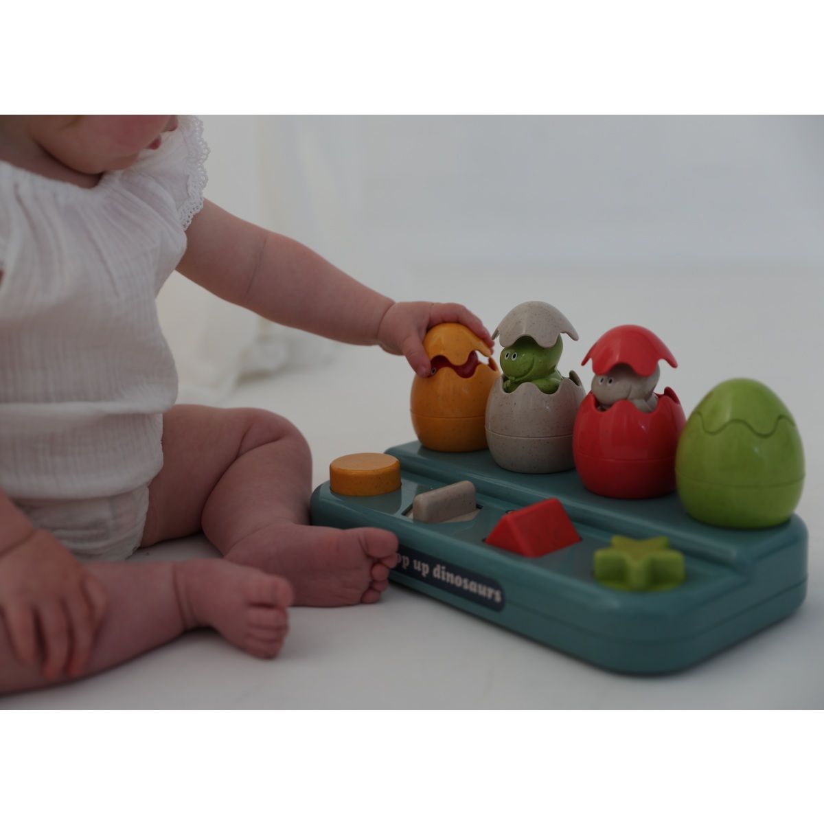 Bio Pop Up Dinosaurs