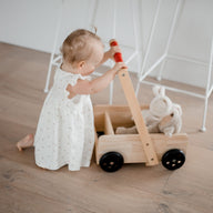 Qtoys Classic Baby Walker