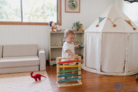 Qtoys Track a ball rack